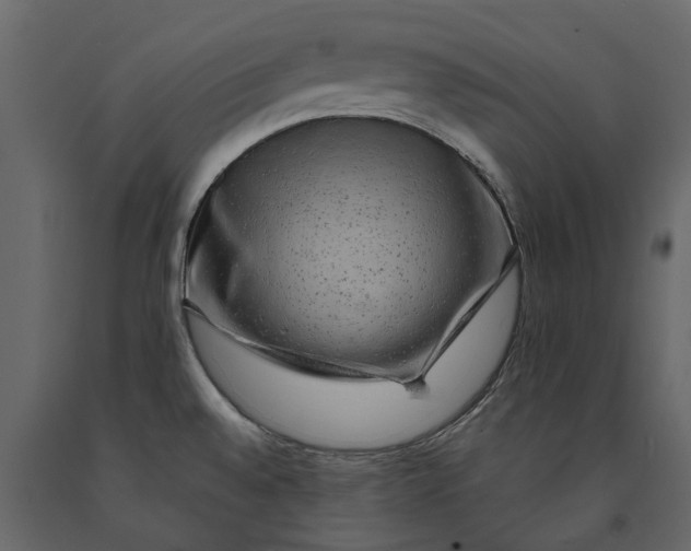 X0000091091528200708271246