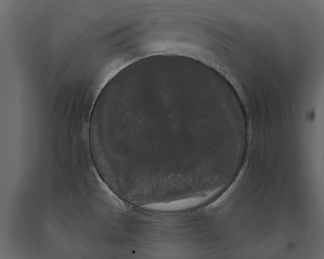 X0000091091529200708271246