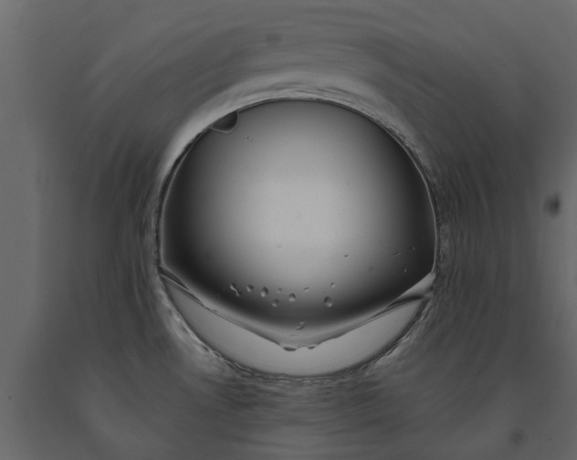 X0000091091530200708271246