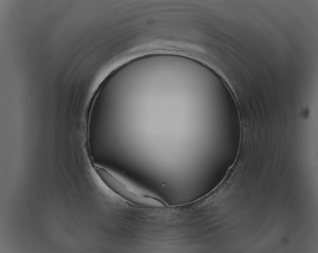 X0000091091531200708271246