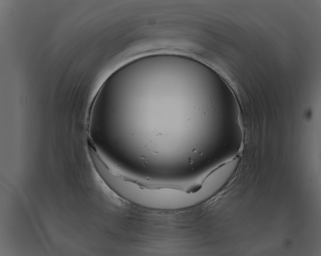 X0000091091532200708271246