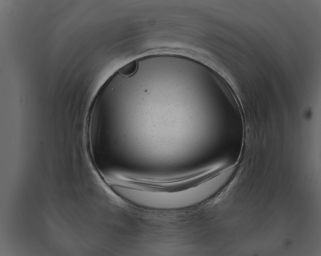 X0000091091533200708271246