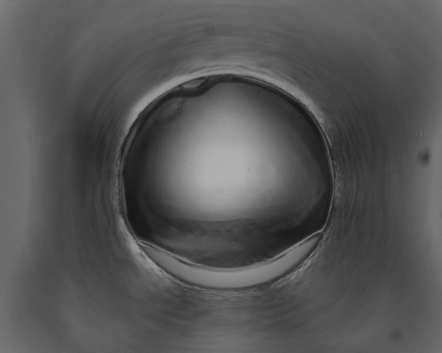 X0000091091534200708271246