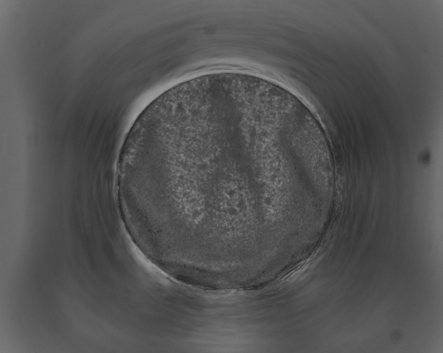 X0000091091535200708271246