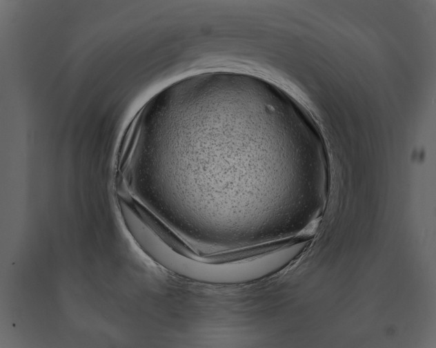 X0000091091536200708271246