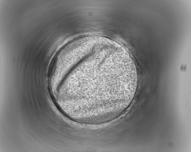 X0000091090002200709041312