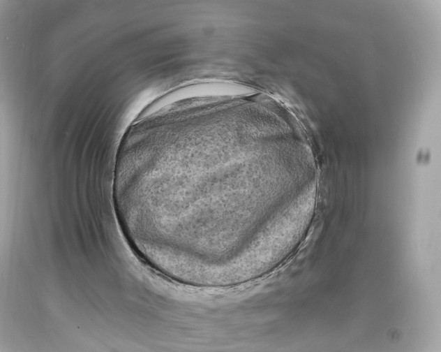 X0000091090003200709041312