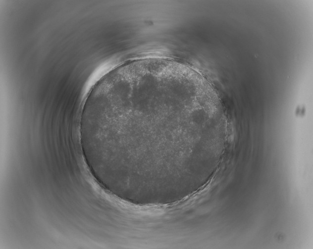 X0000091090004200709041312
