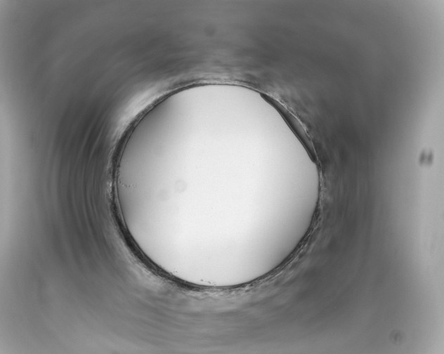 X0000091090005200709041312