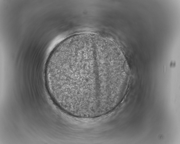 X0000091090006200709041312