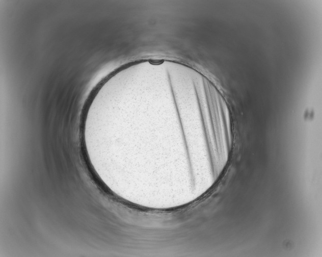 X0000091090008200709041312