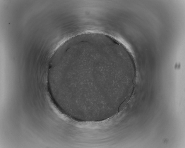 X0000091090009200709041312