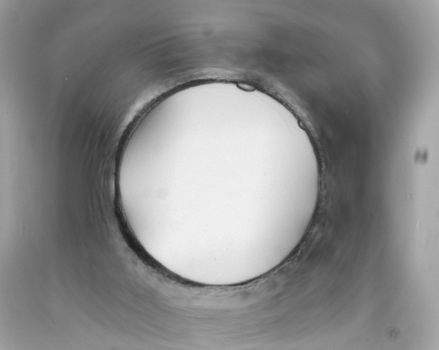 X0000091090011200709041312