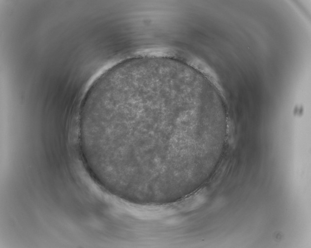 X0000091090012200709041312