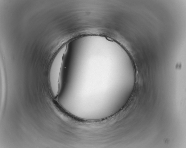 X0000091090013200709041312