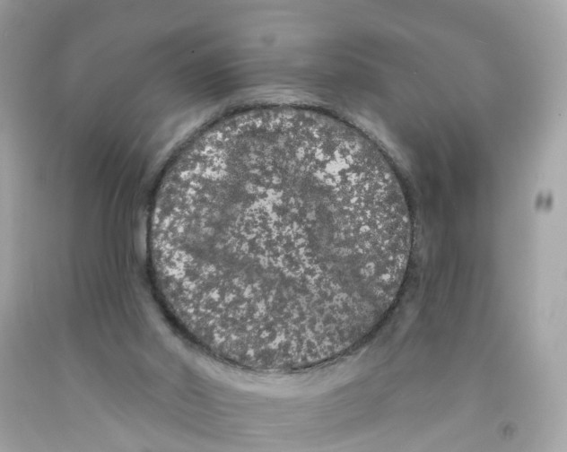 X0000091090014200709041312
