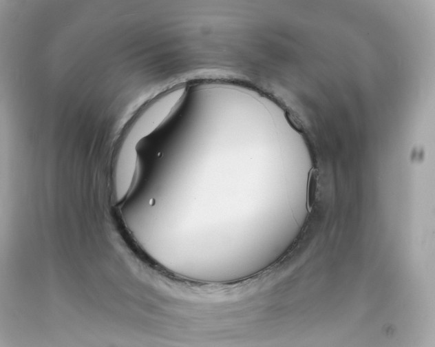 X0000091090015200709041312