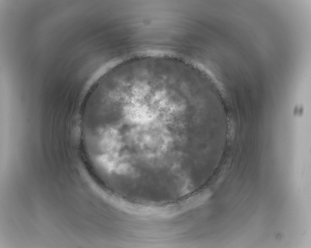 X0000091090016200709041312