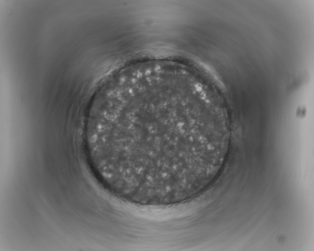 X0000091090018200709041312
