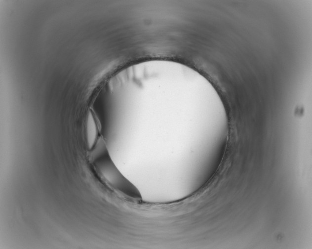X0000091090019200709041312
