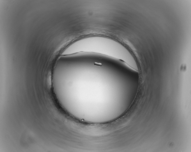 X0000091090020200709041312