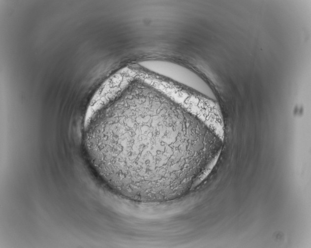 X0000091090022200709041312