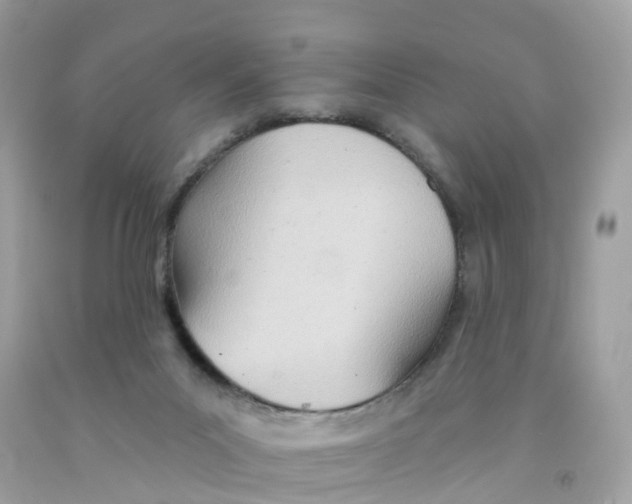 X0000091090023200709041312