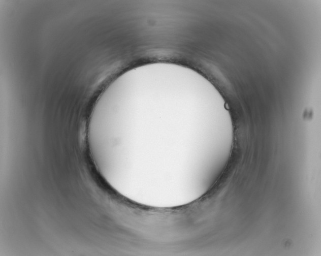 X0000091090024200709041312