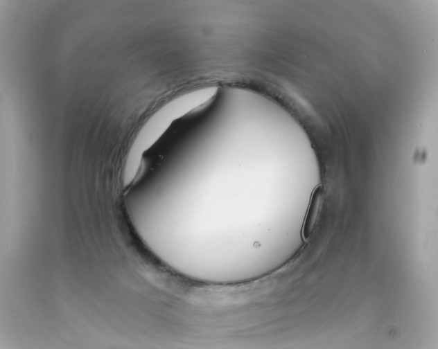 X0000091090025200709041312