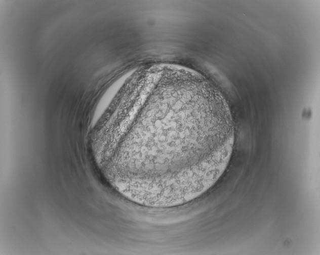 X0000091090026200709041312