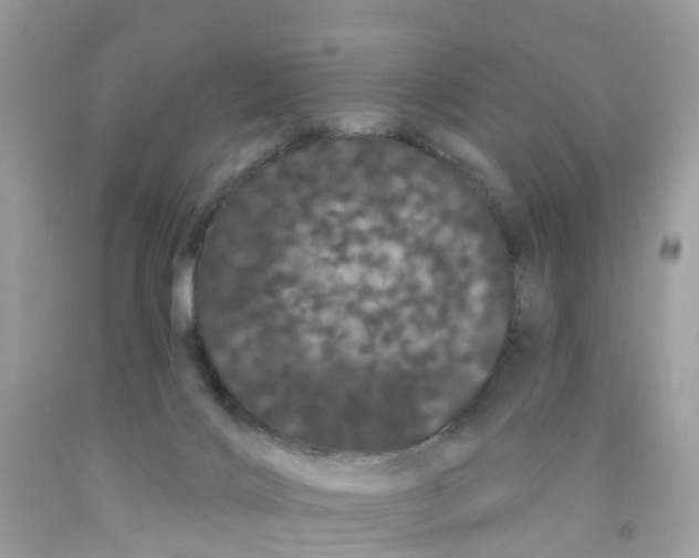 X0000091090028200709041312