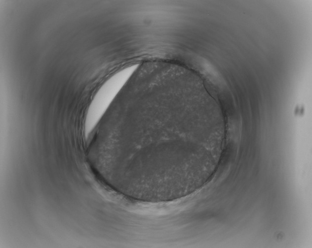 X0000091090029200709041312