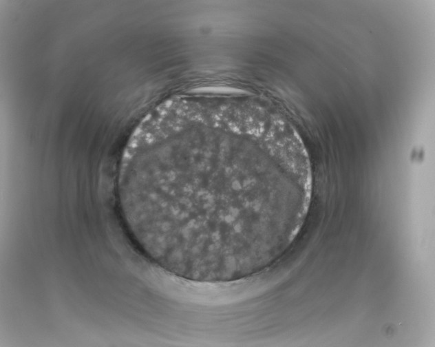 X0000091090030200709041312