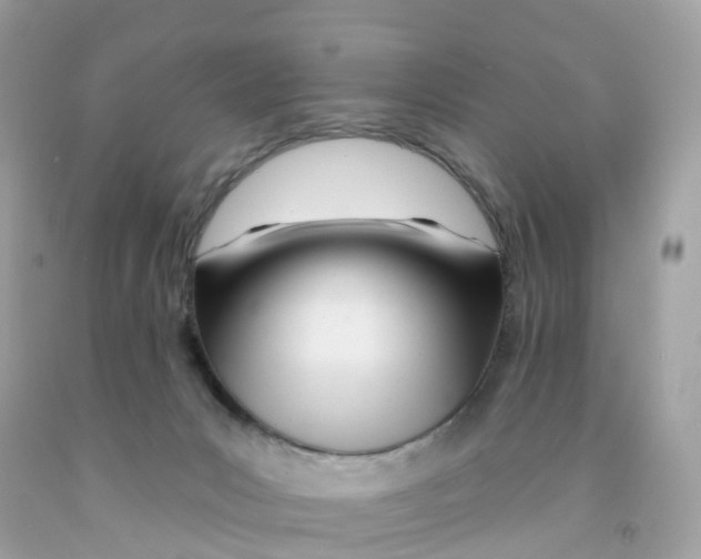 X0000091090031200709041312