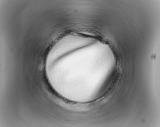 X0000091090032200709041312