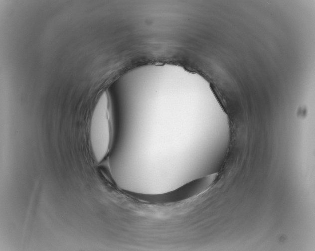 X0000091090033200709041312