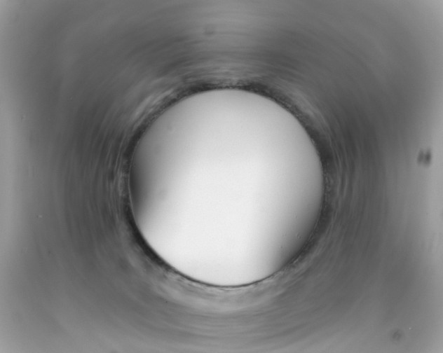 X0000091090035200709041311