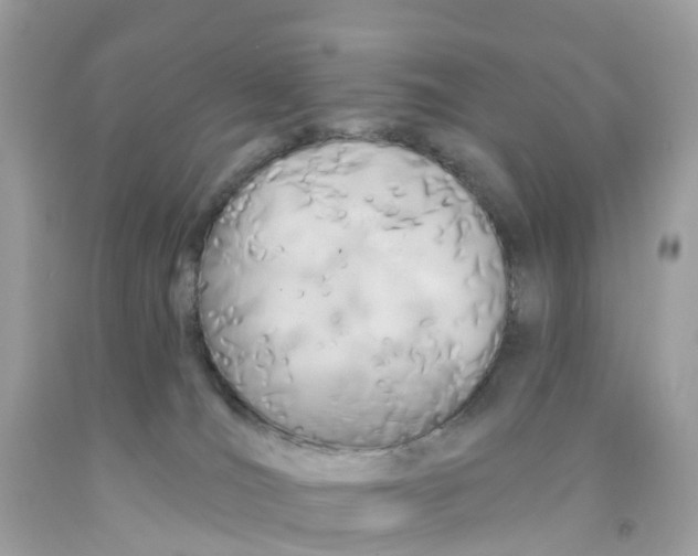 X0000091090036200709041311