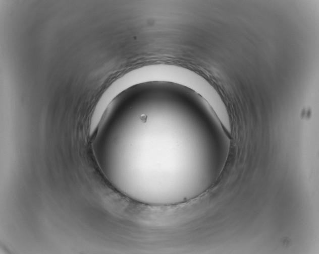 X0000091090037200709041311