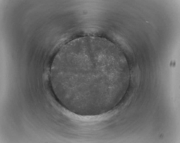 X0000091090038200709041311