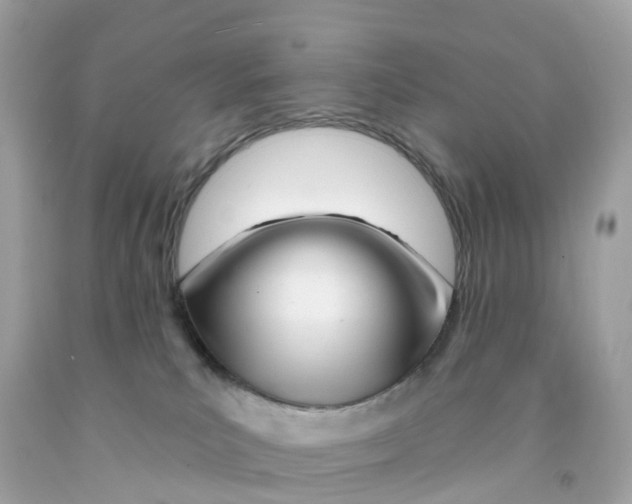 X0000091090039200709041311
