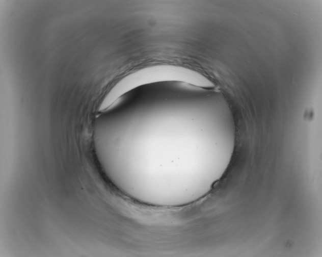 X0000091090040200709041311