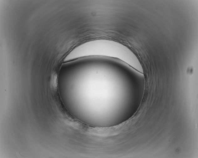 X0000091090041200709041311