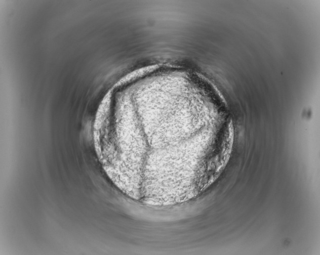 X0000091090042200709041311