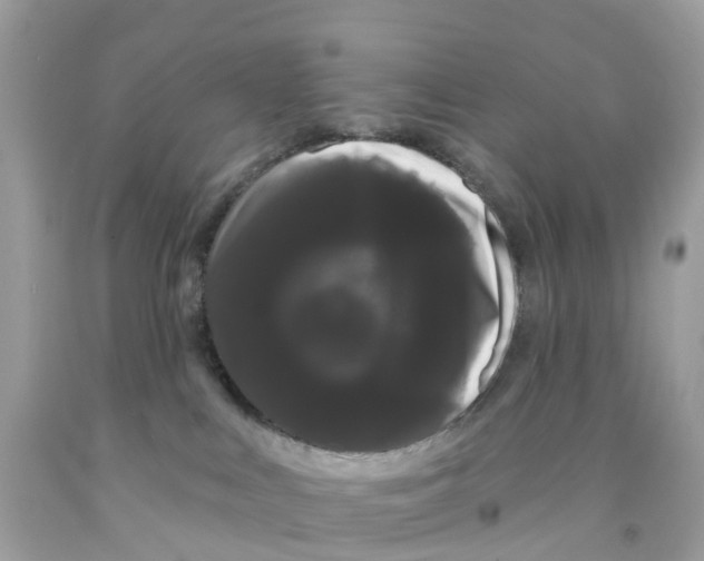 X0000091090043200709041311