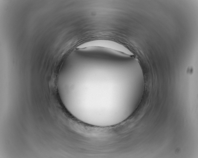 X0000091090044200709041311