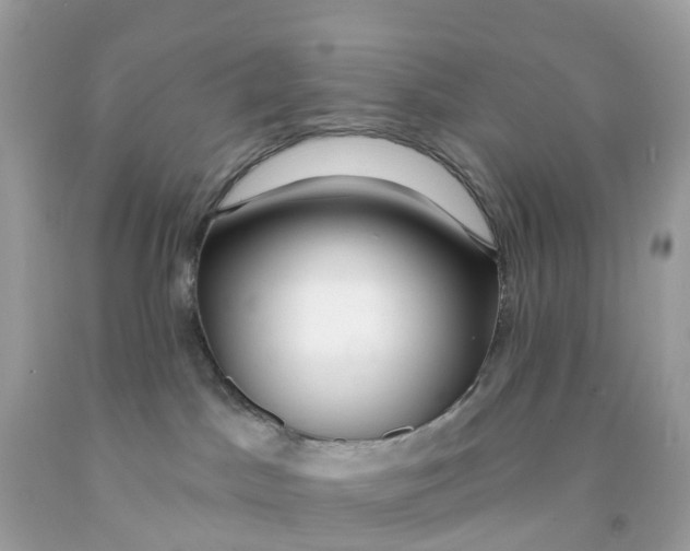 X0000091090045200709041311