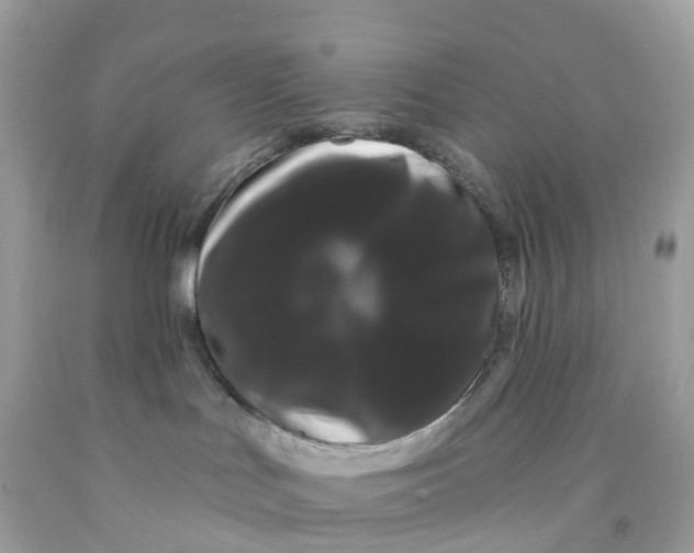 X0000091090047200709041311