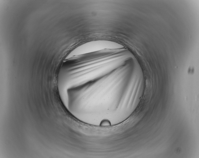 X0000091090048200709041311