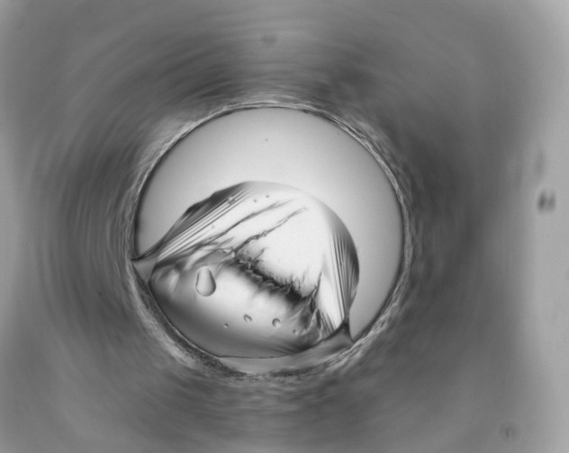 X0000091090049200709041311